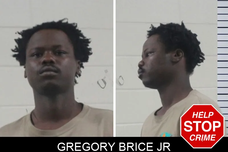 Gregory Brice Jr mugshot