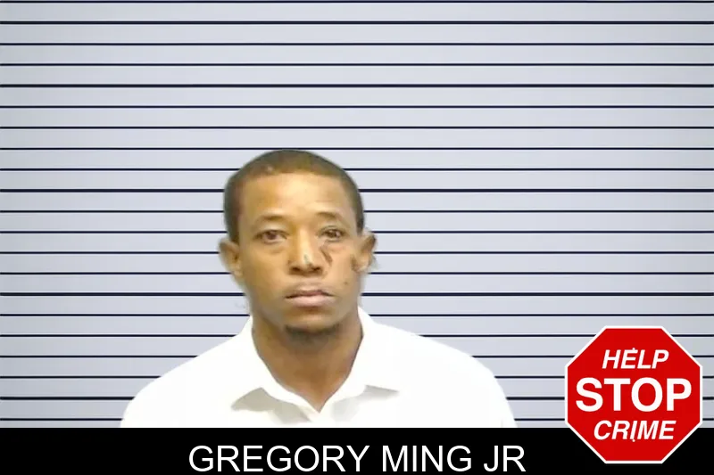 Gregory Ming Jr mugshot