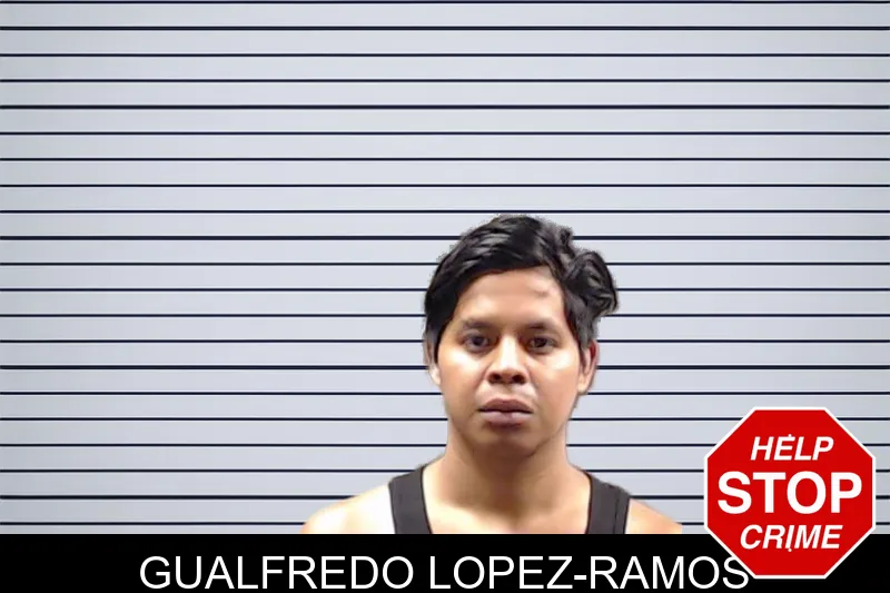 Gualfredo Lopez-Ramos mugshot