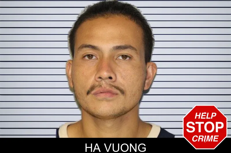 Ha Vuong mugshot