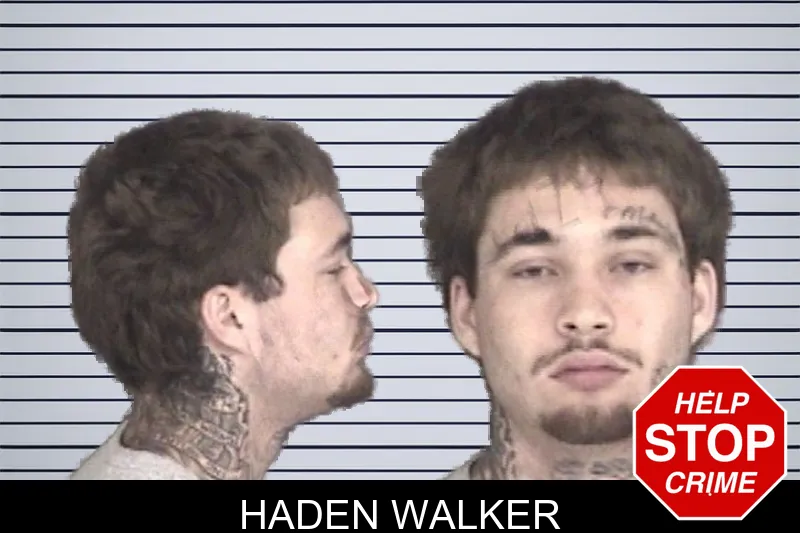 Haden Walker mugshot