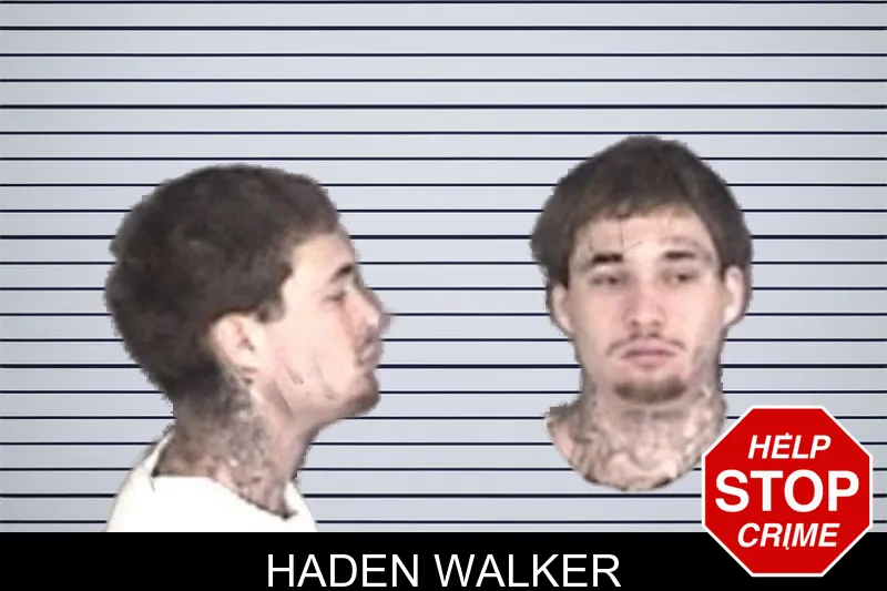 Haden Walker mugshot