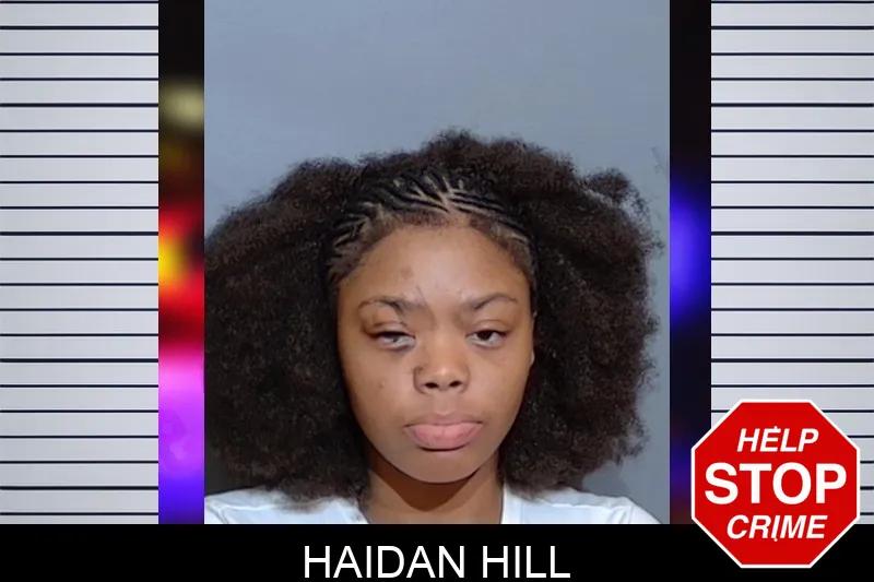 Haidan Hill mugshot