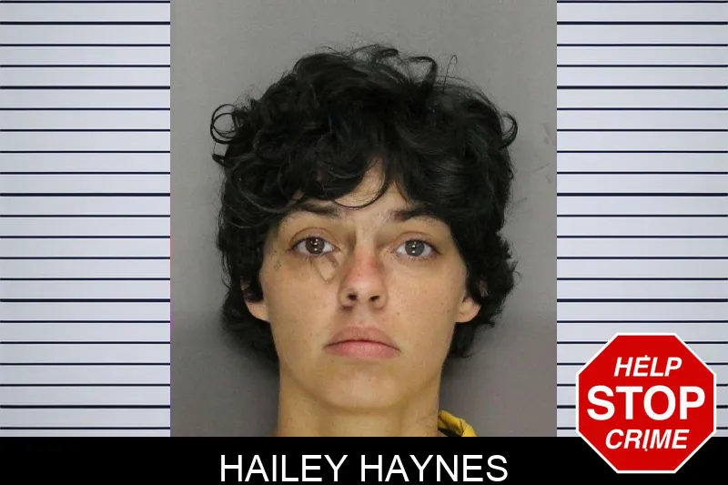 Hailey Haynes mugshot