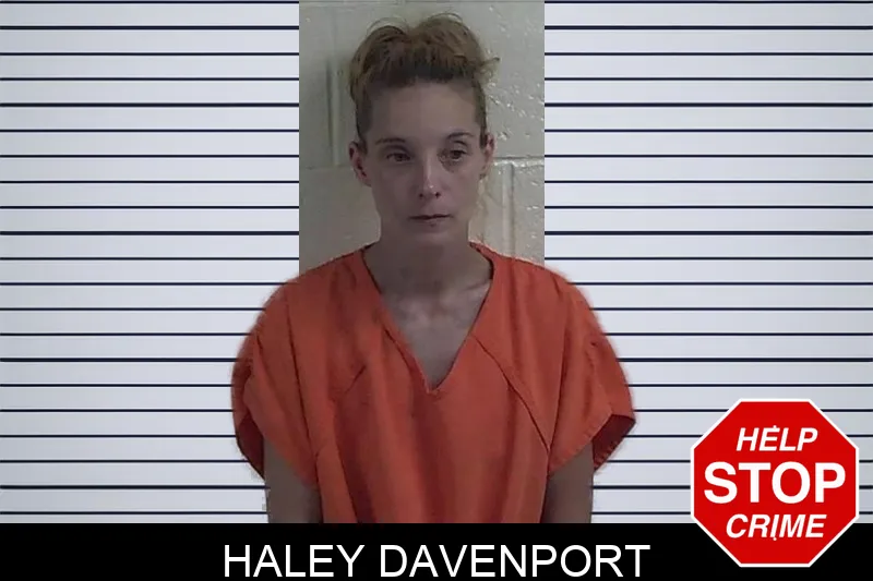 Haley Davenport mugshot – Fannin County , Georgia Haley Davenport mugshot