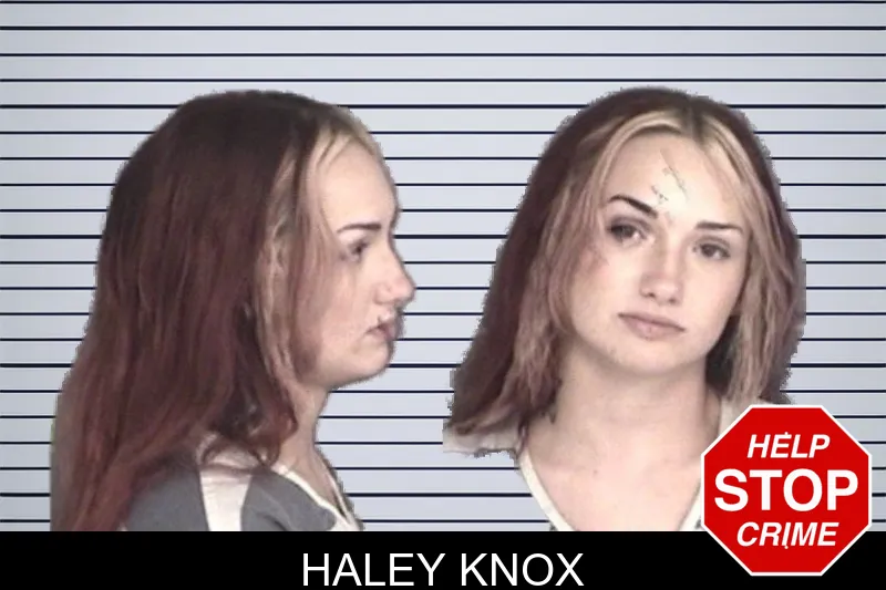 Haley Knox mugshot