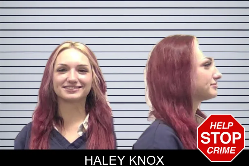 Haley Knox mugshot