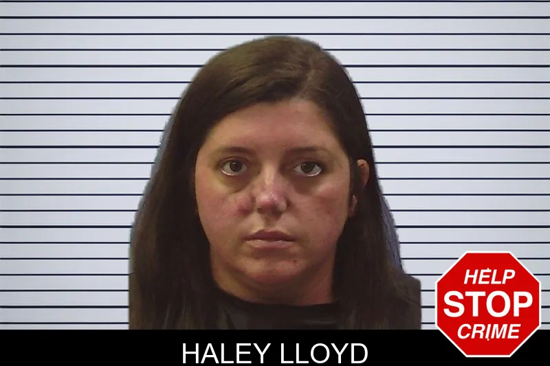 Haley Lloyd mugshot