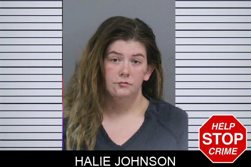 Halie Johnson mugshot