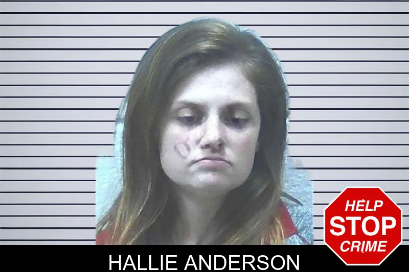 Hallie Anderson mugshot
