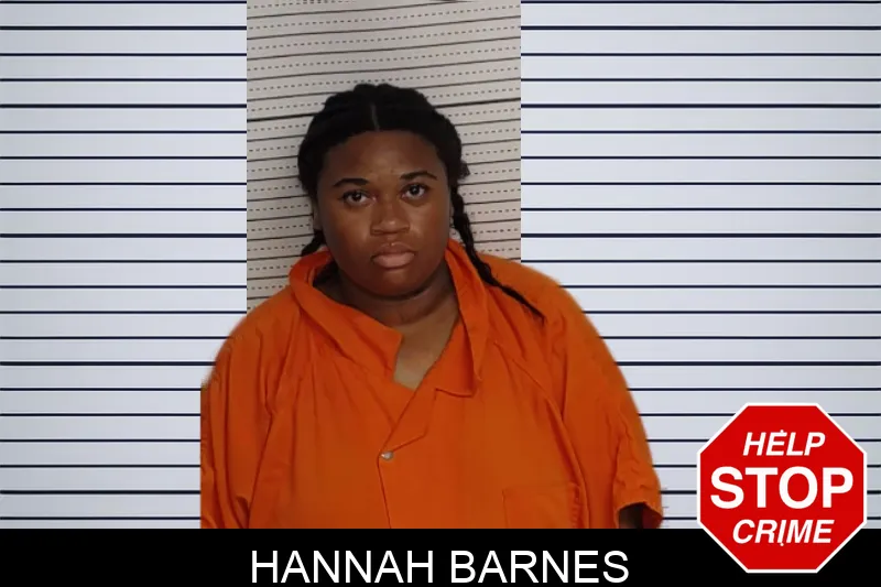 Hannah Barnes mugshot