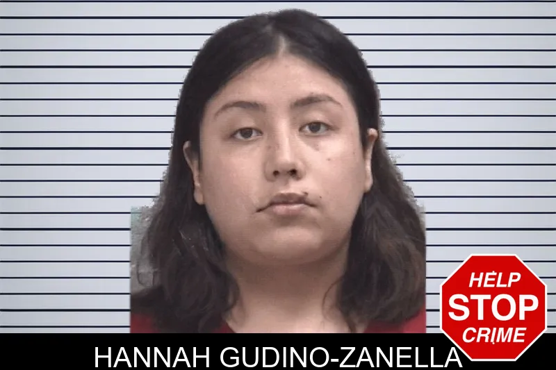 Hannah Gudino-Zanella mugshot