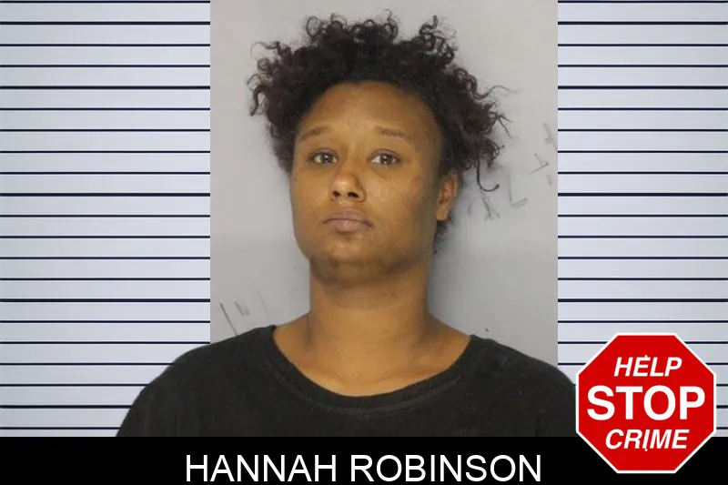 Hannah Robinson mugshot