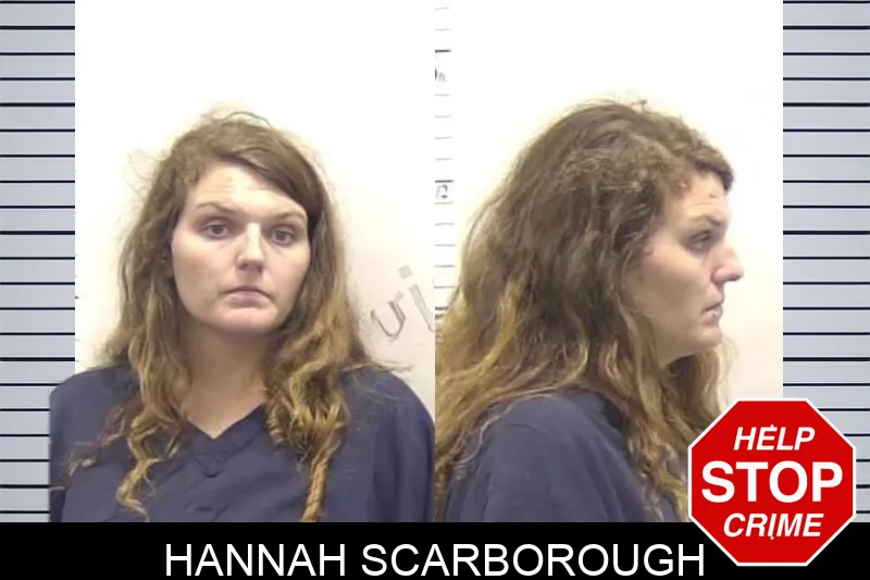 Hannah Scarborough mugshot