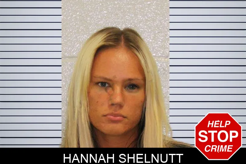 Hannah Shelnutt mugshot