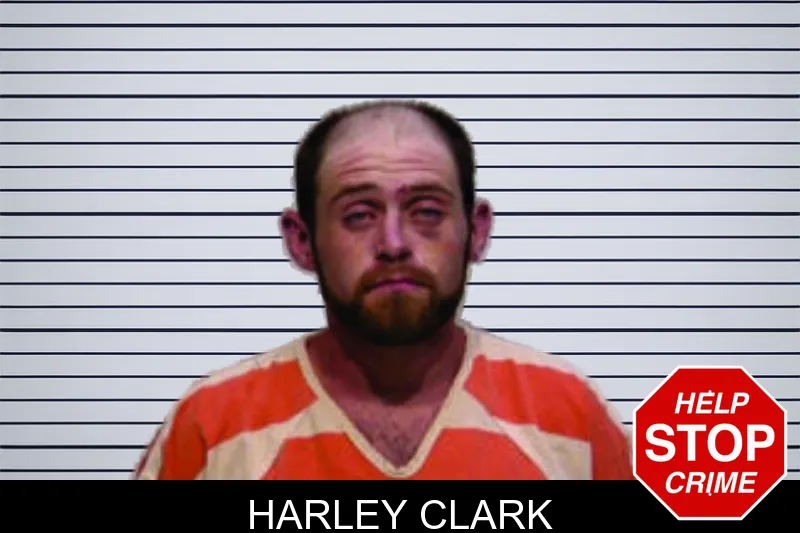Harley Clark mugshot