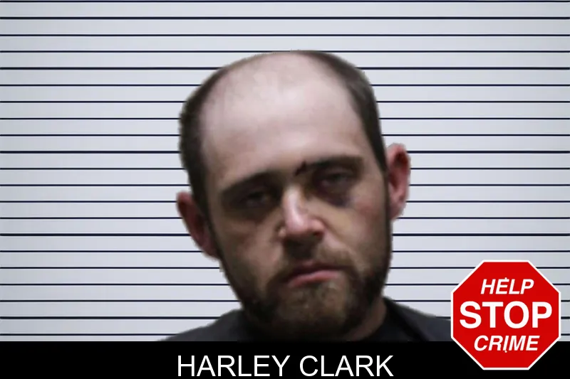Harley Clark mugshot
