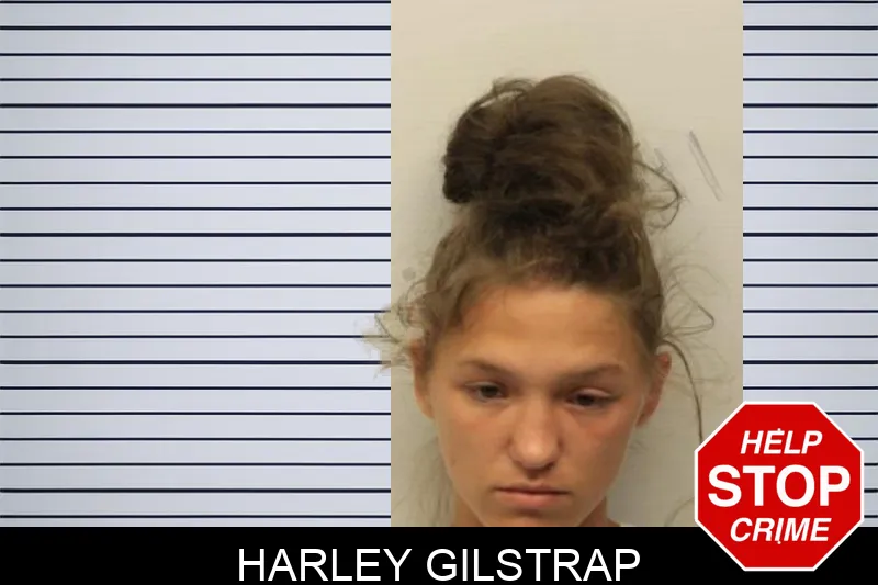 Harley Gilstrap mugshot