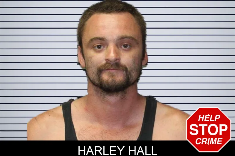 Harley Hall mugshot