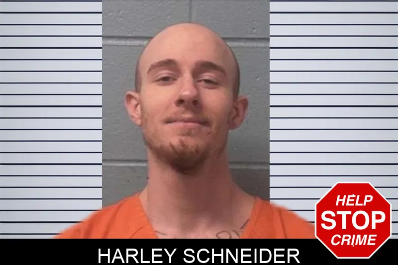 Harley Schneider mugshot