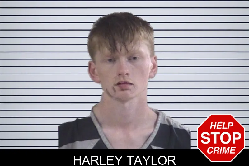 Harley Taylor mugshot