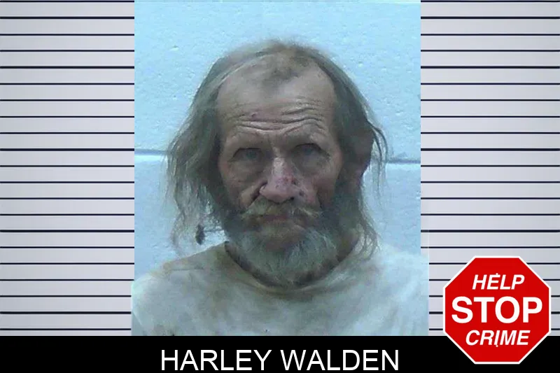 Harley Walden mugshot