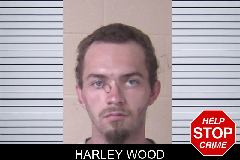 Harley Wood mugshot