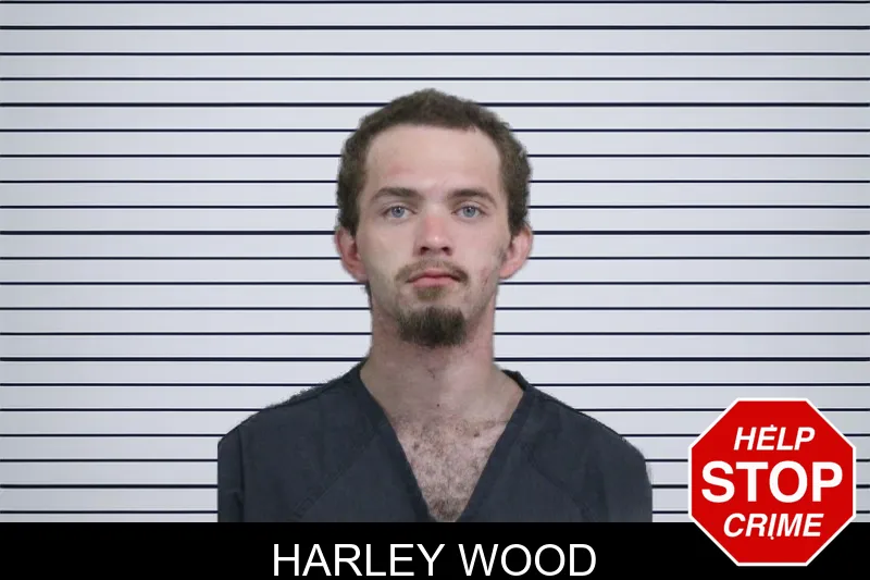 Harley Wood mugshot