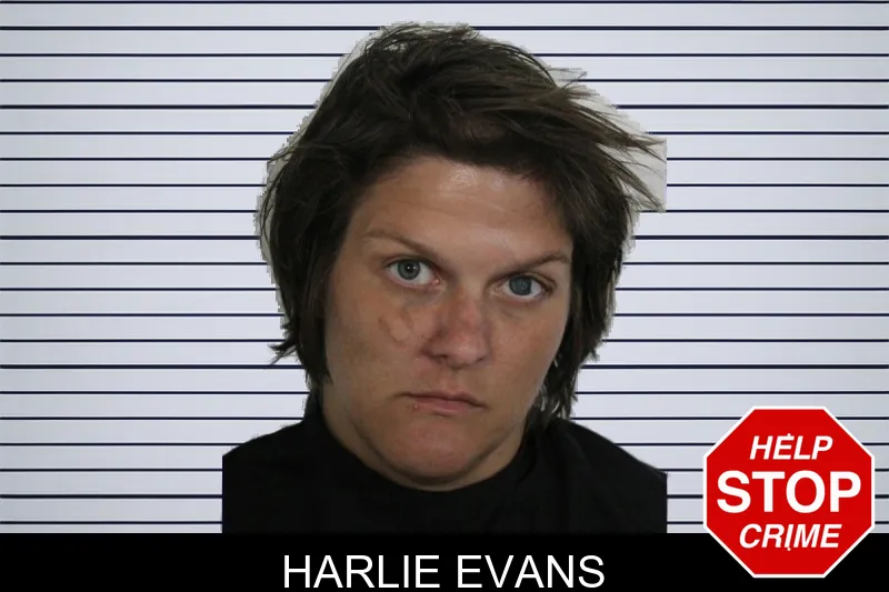 Harlie Evans mugshot