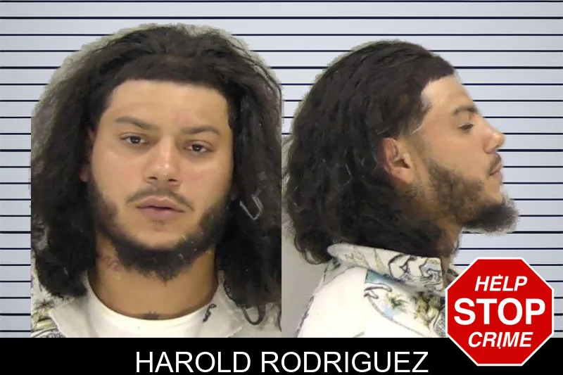 Harold Rodriguez mugshot