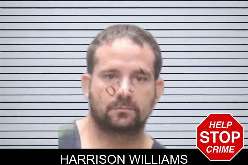 Harrison Williams mugshot