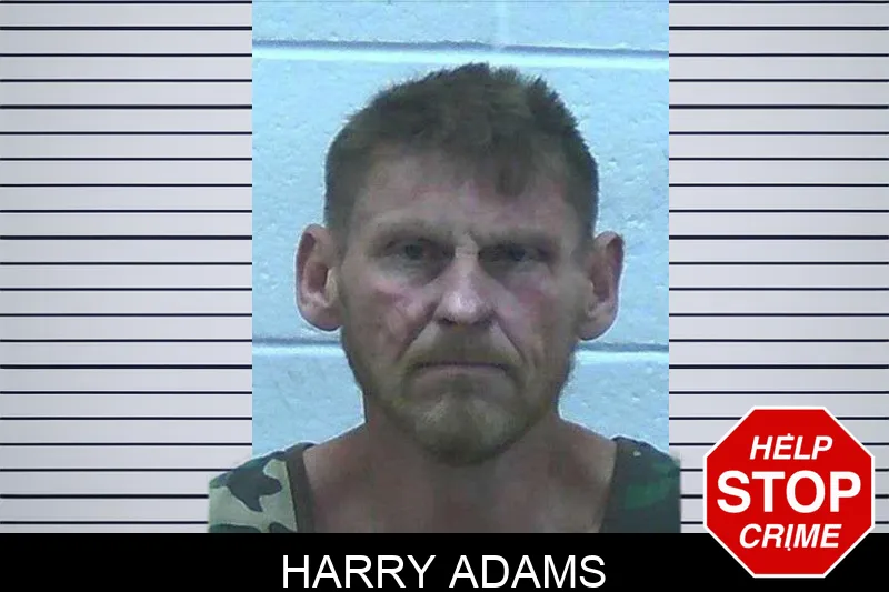 Harry Adams mugshot