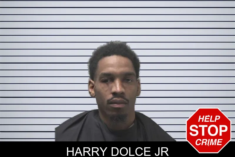 Harry Dolce Jr mugshot