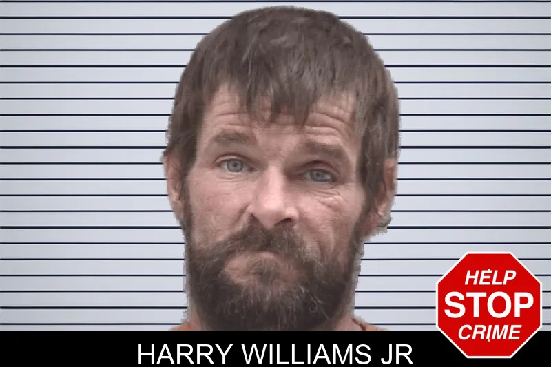 Harry Williams Jr mugshot