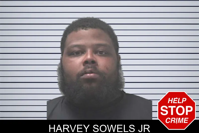 Harvey Sowels Jr mugshot