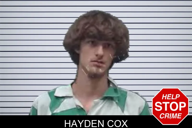 Hayden Cox mugshot