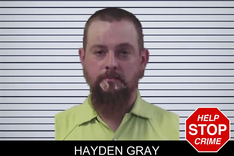 Hayden Gray mugshot