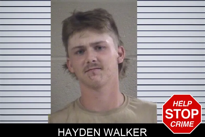 Hayden Walker mugshot