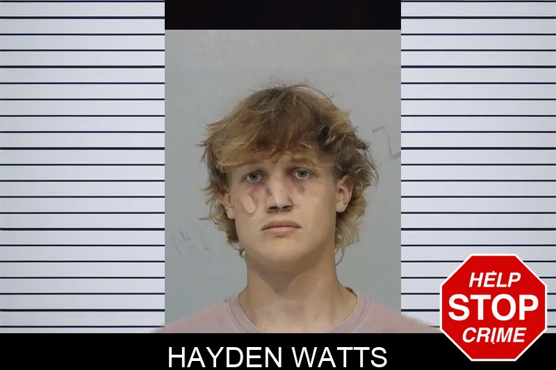Hayden Watts mugshot