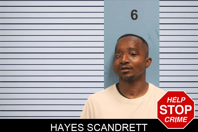 Hayes Scandrett mugshot