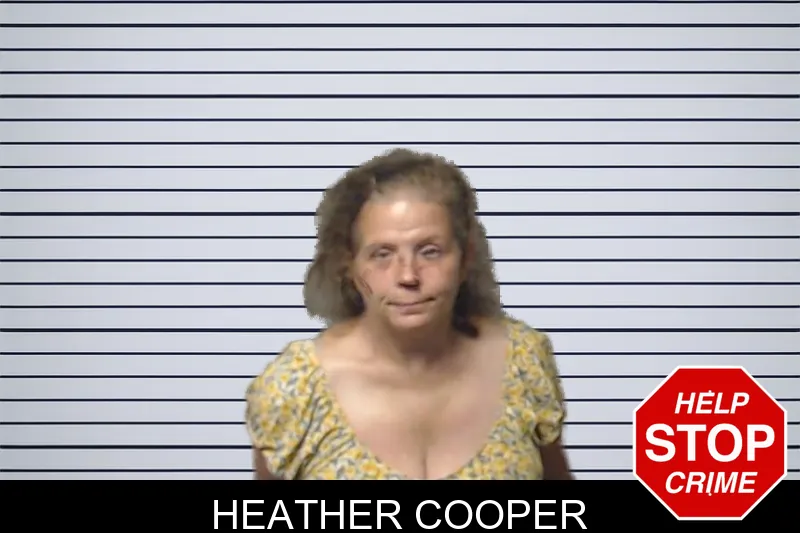 Heather Cooper mugshot