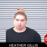 Heather Gillis mugshot