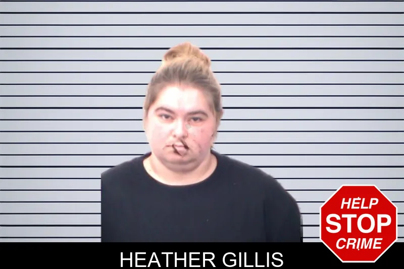 Heather Gillis mugshot