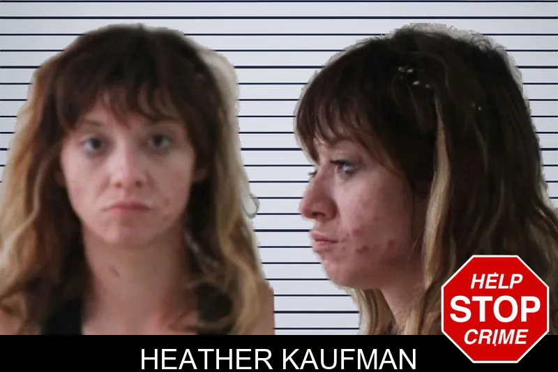 Heather Kaufman mugshot