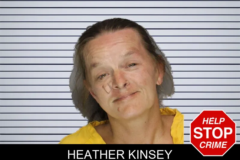 Heather Kinsey mugshot