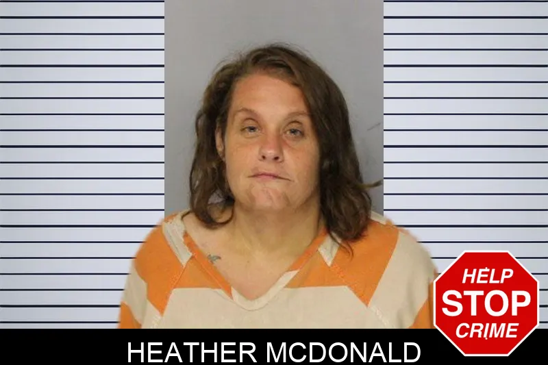 Heather McDonald mugshot