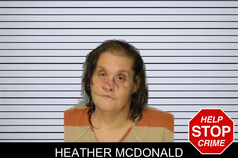 Heather McDonald mugshot