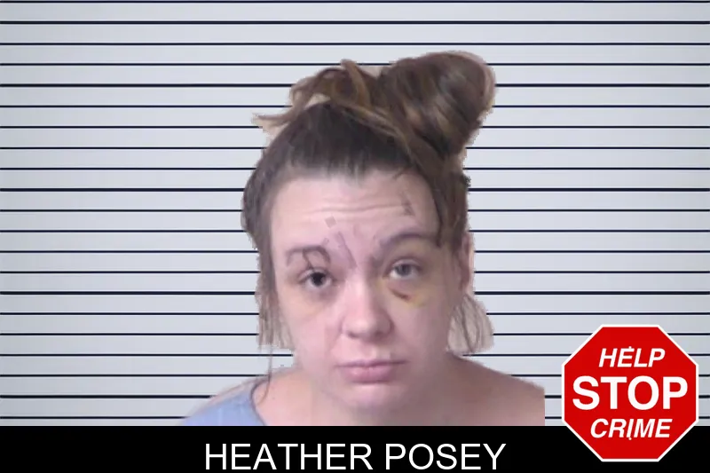 Heather Posey mugshot