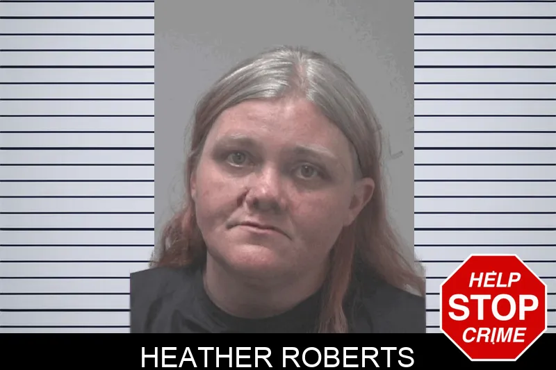 Heather Roberts mugshot – Coweta County , Georgia Heather Roberts mugshot