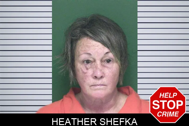 Heather Shefka mugshot